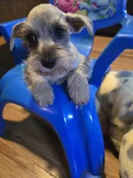 processed/017b84a4-cb4e-41ad-85ec-397911a86266/listing/ea566faa-eea5-4560-adf3-f5a3e5178178/0ce5cf08-3a70-4549-8ea8-10aa80d76a0a