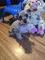 processed/017b84a4-cb4e-41ad-85ec-397911a86266/listing/ea566faa-eea5-4560-adf3-f5a3e5178178/360a9ea4-5650-448b-84e6-703ae3c20d11