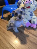 processed/017b84a4-cb4e-41ad-85ec-397911a86266/listing/ea566faa-eea5-4560-adf3-f5a3e5178178/d9a6ff8e-5e87-41f2-a5b7-87db36ac6327