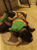 processed/0180b6ea-3467-4d05-809f-6eae2914081c/facility/325a50d6-b40f-4567-8a2f-90749fd706f1