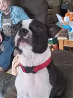 processed/0180b6ea-3467-4d05-809f-6eae2914081c/facility/94128f9a-3541-47f1-a1f6-16ebd110be29