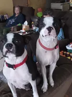 processed/0180b6ea-3467-4d05-809f-6eae2914081c/facility/c7b69c16-f88f-466d-8e71-920e03b8f3d9