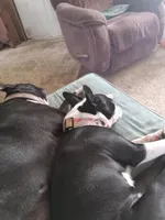 processed/0180b6ea-3467-4d05-809f-6eae2914081c/facility/dd335c88-2139-4d28-9cf2-51ff3a2bbef8