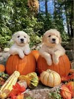 processed/018c0a22-12b1-476c-97a5-7eacd532de31/facility/0e88e764-1306-470d-9307-8d02cd012d57