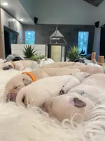 processed/018c0a22-12b1-476c-97a5-7eacd532de31/facility/1f48a474-4c74-43a9-9d5d-a186aa9dbd8f