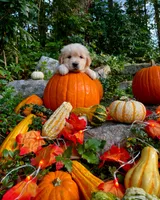 processed/018c0a22-12b1-476c-97a5-7eacd532de31/facility/539e4bd4-87df-484c-84ab-729ba62c50e5