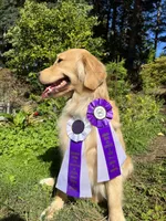 processed/018c0a22-12b1-476c-97a5-7eacd532de31/facility/5ce44da2-5d03-4d8b-9033-7c9f1471b3f6