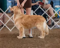 processed/018c0a22-12b1-476c-97a5-7eacd532de31/facility/89fed0b2-63c1-49f6-896b-79b71a7c959d