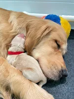 processed/018c0a22-12b1-476c-97a5-7eacd532de31/facility/a365bfdf-4f5a-420c-a296-bf2854371b3d