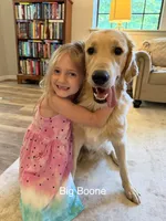 Daisy's Red Girl ❤️, a female Golden Retriever for sale in Tulsa, OK – 7 of 8