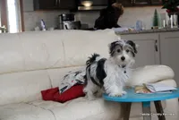 processed/018fed4c-083d-4c58-ad17-dea6abbc5ed1/listing/0246a2e2-1207-442b-9424-a81346ec754a/002b3118-fb75-4c5d-b94c-a05c1487b74d