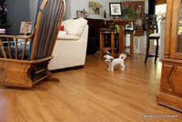 Goose, a male Shorkie for sale in Jefferson, SD – 6 of 10