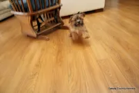 processed/018fed4c-083d-4c58-ad17-dea6abbc5ed1/listing/6c1d0a46-8d6c-4fbc-a4dd-9969e97e68fa/0b9a10eb-c821-49fc-be99-ede877c93fc7