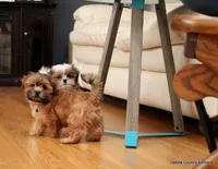 processed/018fed4c-083d-4c58-ad17-dea6abbc5ed1/listing/6c1d0a46-8d6c-4fbc-a4dd-9969e97e68fa/0f18b22c-cad9-4fb5-8fd1-0137b6265906