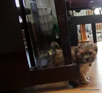 processed/018fed4c-083d-4c58-ad17-dea6abbc5ed1/listing/6c1d0a46-8d6c-4fbc-a4dd-9969e97e68fa/199561fc-58b8-4af3-967d-cbc56295400b