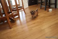 processed/018fed4c-083d-4c58-ad17-dea6abbc5ed1/listing/6c1d0a46-8d6c-4fbc-a4dd-9969e97e68fa/84ad9f68-ea27-4a6e-a413-2dfe27a67c8a