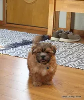 processed/018fed4c-083d-4c58-ad17-dea6abbc5ed1/listing/6c1d0a46-8d6c-4fbc-a4dd-9969e97e68fa/b132ba6e-1ad1-4924-ba12-654af5ade7d8