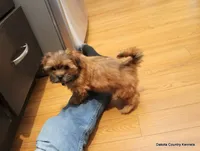 processed/018fed4c-083d-4c58-ad17-dea6abbc5ed1/listing/6c1d0a46-8d6c-4fbc-a4dd-9969e97e68fa/d9859e2b-a075-47e5-a345-70e990b383b5