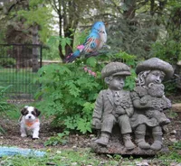 Tipper, a male Shorkie for sale in Jefferson, SD – Photo 6 of 10