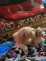 processed/019429dd-a842-47f5-b06b-89c79747bc47/facility/54f336fc-c300-4b6f-8a04-a7030e648652