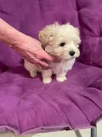 processed/019429dd-a842-47f5-b06b-89c79747bc47/facility/8202de94-fe21-48ae-8830-32affe865053