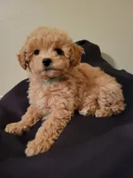 processed/019429dd-a842-47f5-b06b-89c79747bc47/facility/a208e0a9-7827-4a71-ac7f-a75c04cc0b23