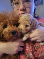 processed/019429dd-a842-47f5-b06b-89c79747bc47/facility/afa452be-68d4-4e94-aec6-ef3d83a1dd4e