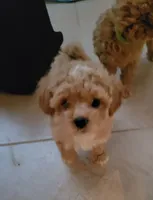 processed/019429dd-a842-47f5-b06b-89c79747bc47/facility/d222e80d-de98-4c13-a5a2-e2ed07a6940f