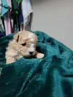 processed/019429dd-a842-47f5-b06b-89c79747bc47/facility/d6ff62c2-f06d-4ad8-b47e-016ca7f03ac0