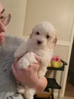 processed/019429dd-a842-47f5-b06b-89c79747bc47/facility/de37be54-0e75-485a-85fe-27bf333141a0