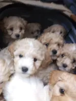 processed/019429dd-a842-47f5-b06b-89c79747bc47/facility/e7ce7bd8-d868-431f-9779-a9df48001bd5