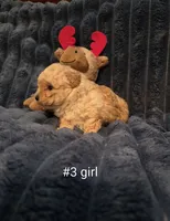 processed/019429dd-a842-47f5-b06b-89c79747bc47/listing/0974672c-3727-44bc-b0ed-83d287d17526/6a0bc027-da0b-49c0-939a-e36525c87a14