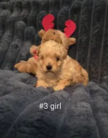 processed/019429dd-a842-47f5-b06b-89c79747bc47/listing/0974672c-3727-44bc-b0ed-83d287d17526/6bb973d8-8803-4eca-a38b-72485f1cece0