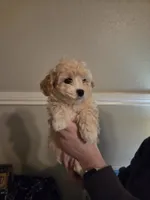 processed/019429dd-a842-47f5-b06b-89c79747bc47/listing/1a6b5c50-a855-4392-b85b-a5da3448e9d8/76ff44ca-aae2-47c1-b224-9d1bd53c8033