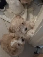 processed/019429dd-a842-47f5-b06b-89c79747bc47/listing/1a6b5c50-a855-4392-b85b-a5da3448e9d8/81ea9190-2936-47a8-9a9c-3d3d4ac9d8c4