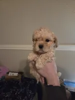 processed/019429dd-a842-47f5-b06b-89c79747bc47/listing/c5a0733a-02a6-43be-9641-cc3dcd5b4b9c/dded3152-26c1-45b4-b0be-bca93964a22b