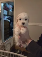 processed/019429dd-a842-47f5-b06b-89c79747bc47/listing/ecbebb60-574d-49a6-b391-69b1ae316450/c470f5fa-cd99-479f-b1f8-ccbedb000da4