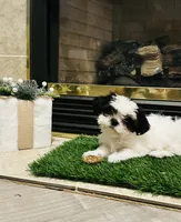 processed/01946aae-596c-42eb-ab74-39aca289415e/listing/1902f7ff-a9cf-4e46-8a78-290f83b64270/0214ea87-27af-4b41-90a4-107b51860721