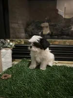 processed/01946aae-596c-42eb-ab74-39aca289415e/listing/1902f7ff-a9cf-4e46-8a78-290f83b64270/6eb4eb1d-e683-4be5-b8e5-8cbd158ba411