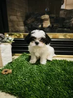 processed/01946aae-596c-42eb-ab74-39aca289415e/listing/1902f7ff-a9cf-4e46-8a78-290f83b64270/c3504548-3462-400e-8b88-923941c84e70