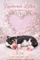 Rue, a female Bernedoodle for sale in Gulfport, MS – Photo 1 of 3