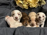 processed/01a6c3be-9f73-4685-a029-9a90898987ef/facility/1bd58363-a6f5-4571-a4c7-6ce1edb6cf79