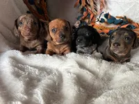 processed/01a6c3be-9f73-4685-a029-9a90898987ef/facility/6e0375da-2cc6-473a-a360-388bd75218eb