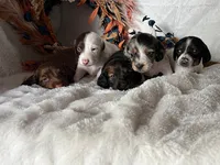 processed/01a6c3be-9f73-4685-a029-9a90898987ef/facility/9d72567f-0a8c-447b-880b-15effafde2b2