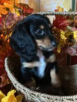 processed/01a6c3be-9f73-4685-a029-9a90898987ef/facility/d6aad2a4-2f6a-4586-88ff-5c0a2f3b1a82