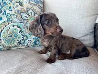 processed/01a6c3be-9f73-4685-a029-9a90898987ef/facility/d7db85ed-10e1-44ec-9dfe-14ab4c901bfb