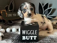 processed/01a6c3be-9f73-4685-a029-9a90898987ef/facility/e65782fa-40ff-44be-81a4-0fdc1c65c7e4