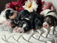 processed/01a6c3be-9f73-4685-a029-9a90898987ef/facility/f03e6101-50a4-4c0b-9003-64e32acc7996