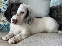 processed/01a6c3be-9f73-4685-a029-9a90898987ef/facility/f55aa617-c056-4d01-8362-f60f24ccff32