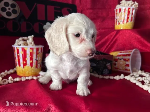 Ghost (On Hold for Nichole)